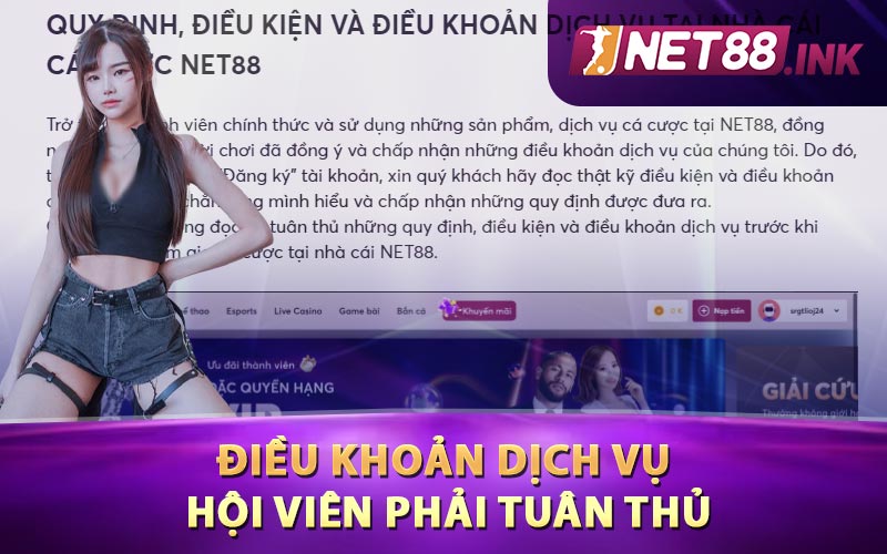 Điều khoản dịch vụ hội viên phải tuân thủ